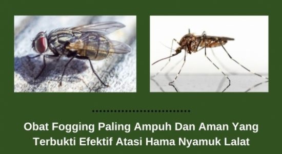 obat fogging untuk atasi lalat dan nyamuk